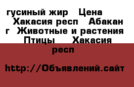 гусиный жир › Цена ­ 100 - Хакасия респ., Абакан г. Животные и растения » Птицы   . Хакасия респ.